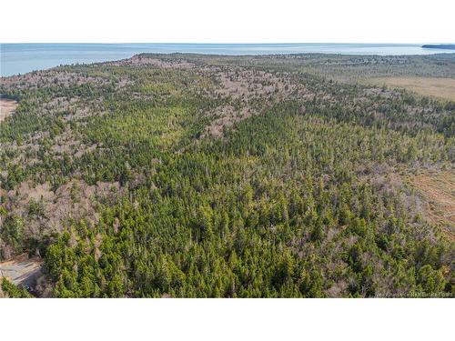 Lot D Old Shore Rd, Tynemouth Creek, NB 