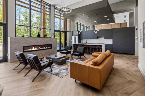 530-920 Reunion Ave, Langford, BC - Indoor With Fireplace