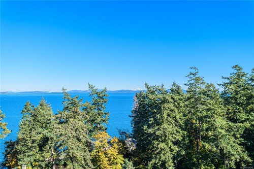 4727 Treetop Hts, Saanich, BC 