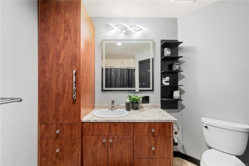 402-1241 Fairfield Rd, Victoria, BC - Indoor Photo Showing Bathroom