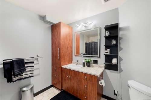 402-1241 Fairfield Rd, Victoria, BC - Indoor Photo Showing Bathroom