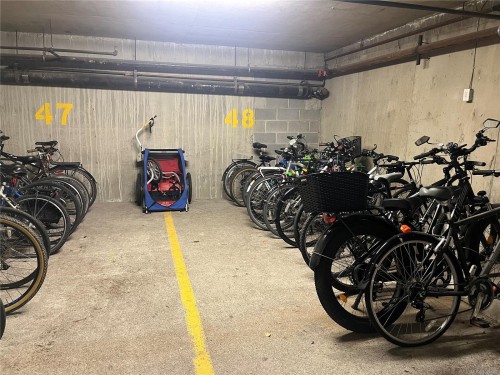402-1241 Fairfield Rd, Victoria, BC - Indoor Photo Showing Garage