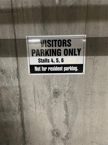 402-1241 Fairfield Rd, Victoria, BC - Outdoor