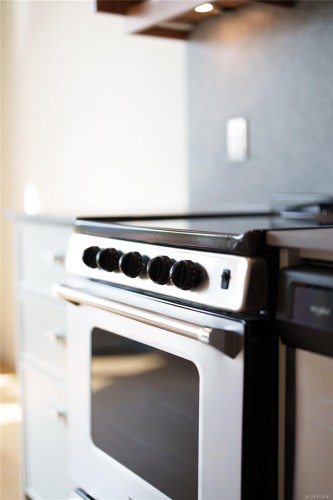 205-629 Speed Ave, Victoria, BC - Indoor Photo Showing Kitchen