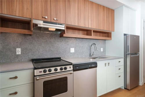 205-629 Speed Ave, Victoria, BC - Indoor Photo Showing Kitchen With Stainless Steel Kitchen With Upgraded Kitchen
