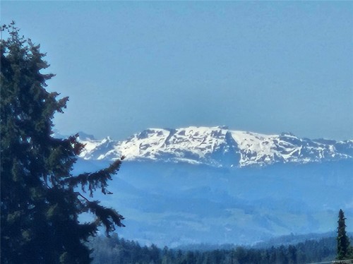 2588 11Th Ave, Port Alberni, BC 