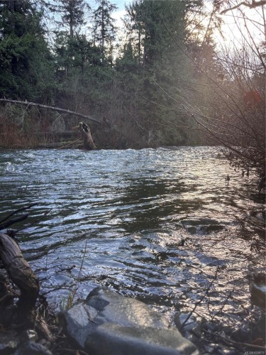 1762 Cameron Cres, Qualicum Beach, BC 