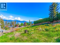 View from Lot looking over the Lake & Mountains! - 