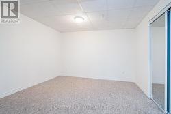 Lower Level Multi-Use Room. - 