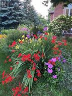 Bursts of colour everywhere! - 