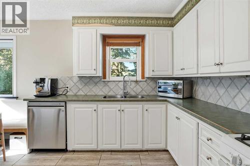 3003 25 Street Sw, Calgary, AB - Indoor Photo Showing Kitchen With Double Sink