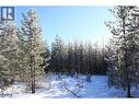 Prop Lot 30 Brown Road, Bridge Lake, BC 