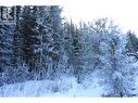 Prop Lot 30 Brown Road, Bridge Lake, BC 