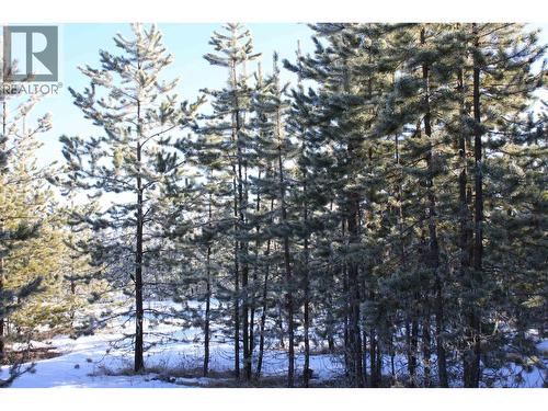 Prop Lot 30 Brown Road, Bridge Lake, BC 