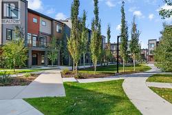 Courtyard in Spring - 