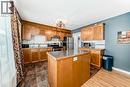 49 Poplar Crescent, Springbrook, AB  - Indoor Photo Showing Kitchen 