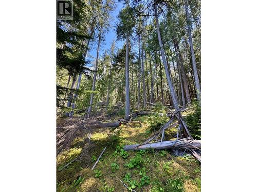 Lot 4 Pete Martin Bay, Sicamous, BC - Outdoor With View