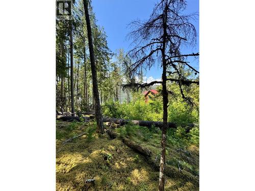 Lot 4 Pete Martin Bay, Sicamous, BC - Outdoor With View