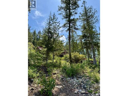 Lot 4 Pete Martin Bay, Sicamous, BC - Outdoor With View