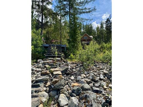 Lot 4 Pete Martin Bay, Sicamous, BC - Outdoor With View