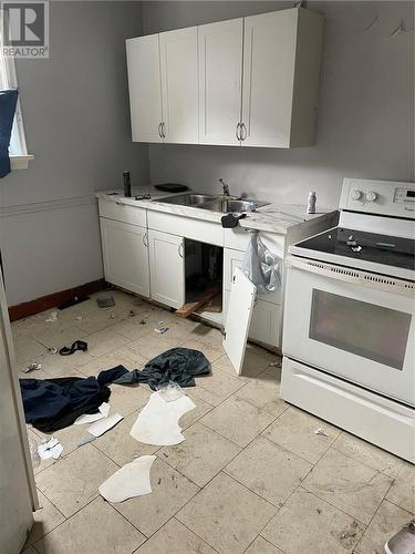 407 Dupont Street, Greater Sudbury, ON - Indoor Photo Showing Kitchen With Double Sink