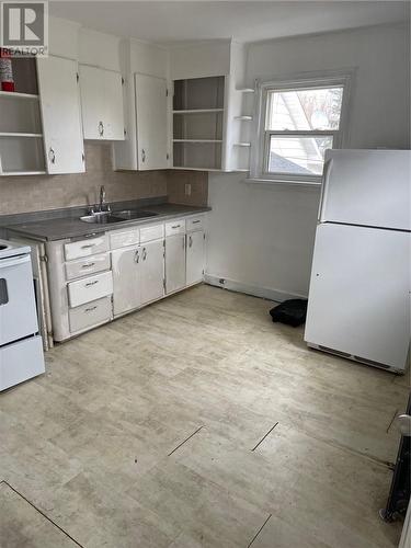 407 Dupont Street, Greater Sudbury, ON - Indoor Photo Showing Kitchen With Double Sink