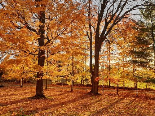 Other - 65 Ch. Papineau, Lac-Brome, QC - Outdoor With View