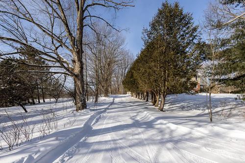 Other - 65 Ch. Papineau, Lac-Brome, QC - Outdoor With View