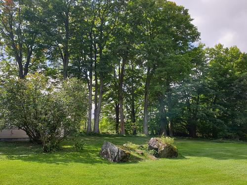 Backyard - 65 Ch. Papineau, Lac-Brome, QC - Outdoor