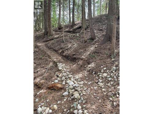 4144 Passmore Upper Road, Winlaw, BC 