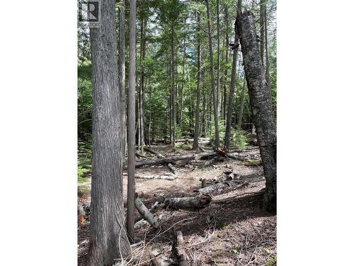 4144 Passmore Upper Road, Winlaw, BC 