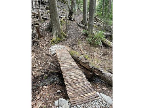 4144 Passmore Upper Road, Winlaw, BC 