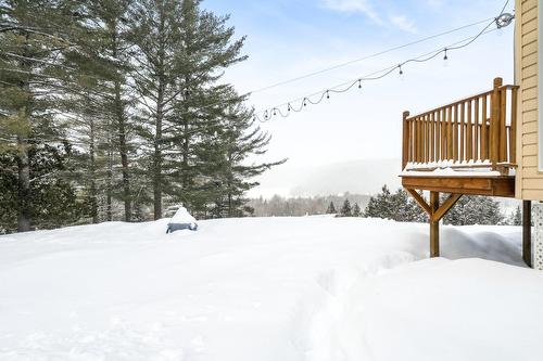 Cour - 60 Ch. De La Côte-À-Menick, Mandeville, QC - Outdoor