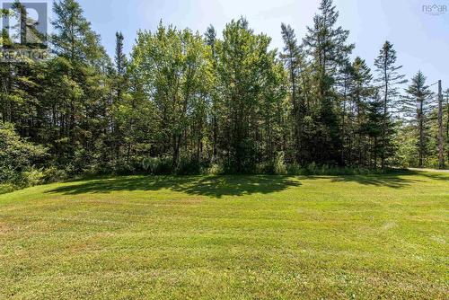 Yard - 617 Highway 277, Dutch Settlement, NS - Outdoor
