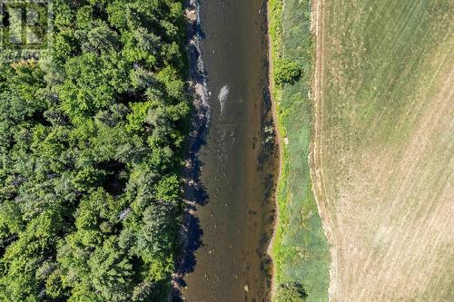 Aerial View - 617 Highway 277, Dutch Settlement, NS - Outdoor With View