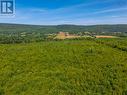 Aerial View - 0 Balcom Road, Clarence, NS 