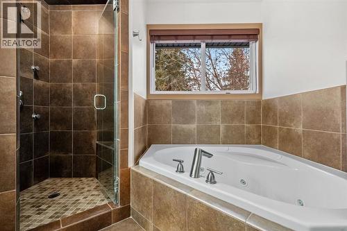 250 Lake Fraser Place Se, Calgary, AB - Indoor Photo Showing Bathroom