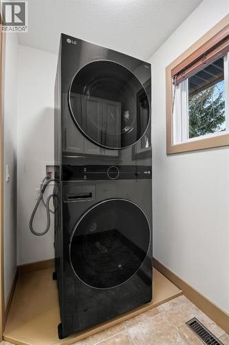 250 Lake Fraser Place Se, Calgary, AB - Indoor Photo Showing Laundry Room
