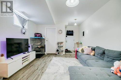 Lower Living Room - 376 Hansen Road N, Brampton (Madoc), ON - Indoor Photo Showing Living Room