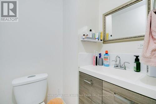 Lower Bathroom 4 Pc - 376 Hansen Road N, Brampton (Madoc), ON - Indoor Photo Showing Bathroom