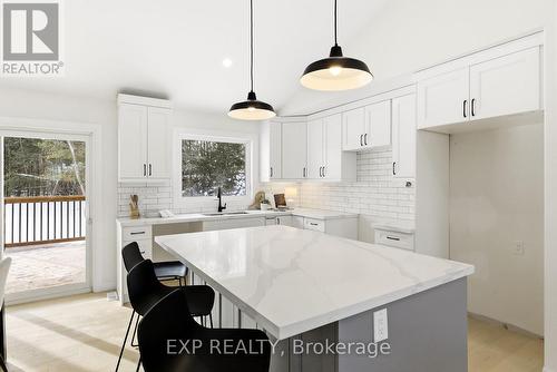 40 Hutchinson Court, Trent Hills, ON - Indoor Photo Showing Kitchen With Upgraded Kitchen