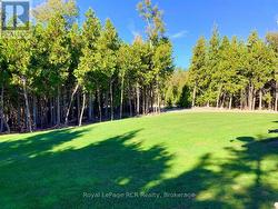 Almost full 360 degree trees provides full privacy - 