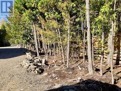 Natural, stone landscaping. - 