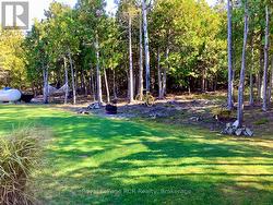 No maintenance wooded area on deep lot. - 