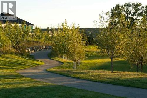 An abundance of beautiful pathways throughout Riverstone - 405 Cranbrook Walk Se, Calgary, AB - Outdoor With View