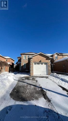 Bsmt - 172 Wright Crescent, Ajax, ON - Outdoor