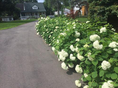 Other - 180 Rue Labonté, Rosemère, QC - Outdoor