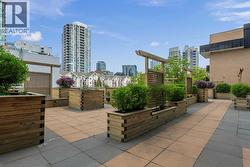 Communal outdoor space - 