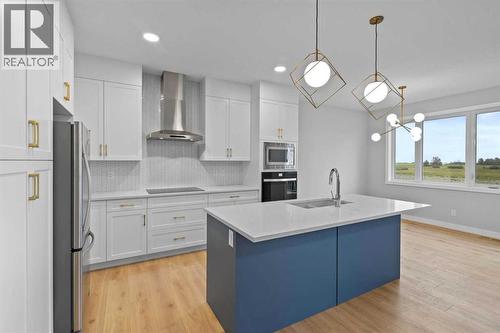 151 Belvedere Crescent Se, Calgary, AB - Indoor Photo Showing Kitchen With Upgraded Kitchen