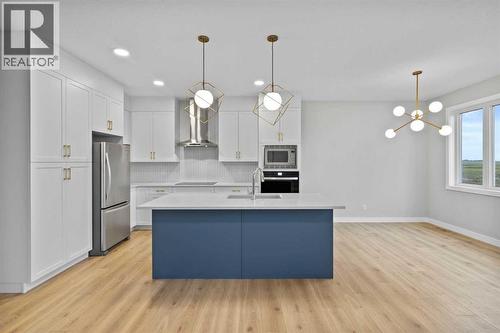 151 Belvedere Crescent Se, Calgary, AB - Indoor Photo Showing Kitchen With Upgraded Kitchen
